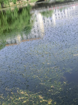 江蘇師大校園風(fēng)景