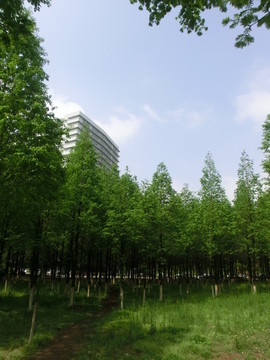 江蘇師大校園二十一世紀大樓