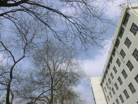 江蘇師大外國語學(xué)院