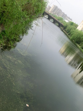 江蘇師大校園玉泉河