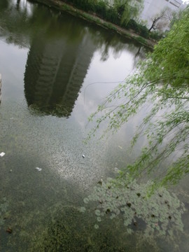 江蘇師大校園玉泉河