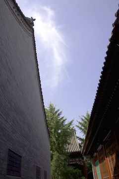 臥龍寺山墻