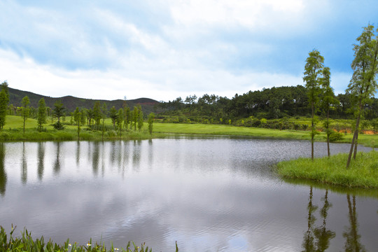 高爾夫球場