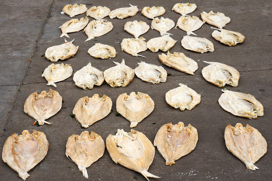 魚(yú)干魚(yú)片
