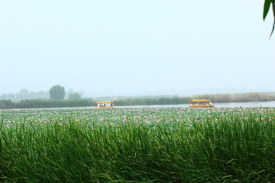 淮陽(yáng)龍湖