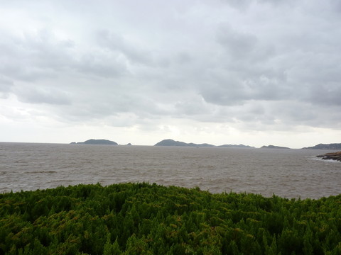 大海