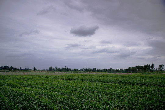 農(nóng)村風(fēng)光