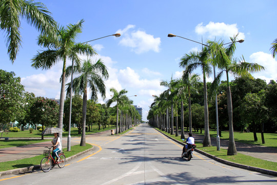 深圳大學(xué)