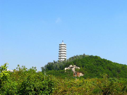 園博園福塔