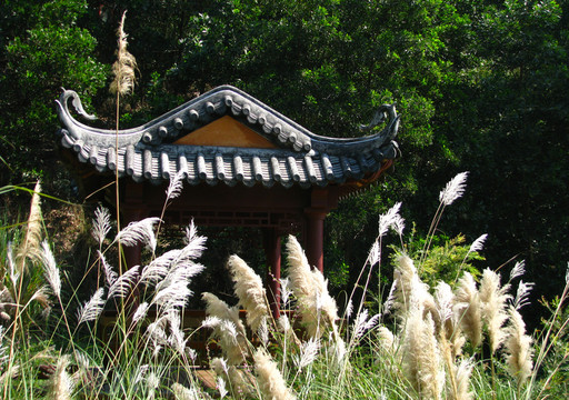 園林景觀