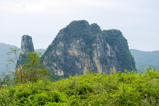 英西峰林駱駝峰