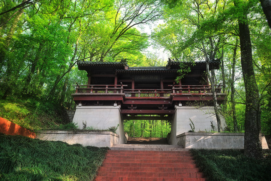南京紫金山腳下一景