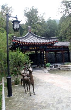 濟(jì)南公園一角亭子
