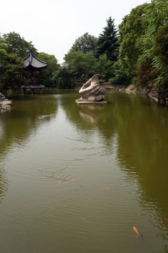 園林池塘