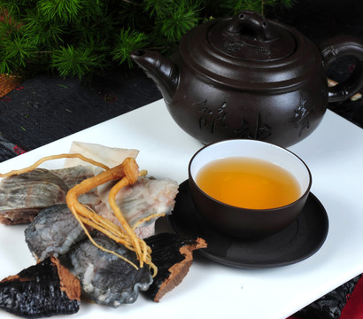 靈芝山龜功夫湯