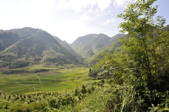 田園風(fēng)光