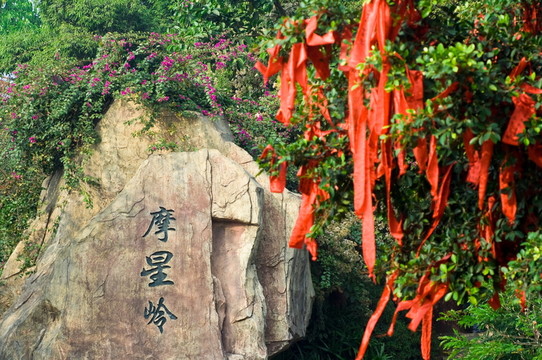摩星嶺許愿樹