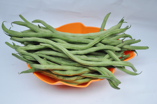 龍豆角