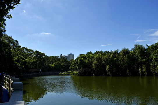 碧水藍(lán)天