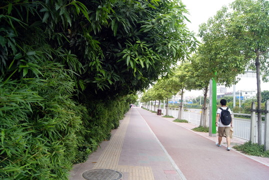 深圳綠道