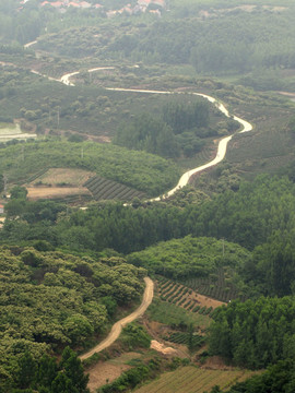 新農(nóng)村