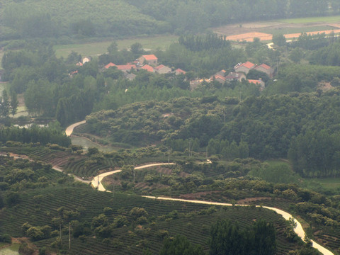 新農(nóng)村