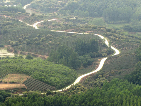 新農(nóng)村