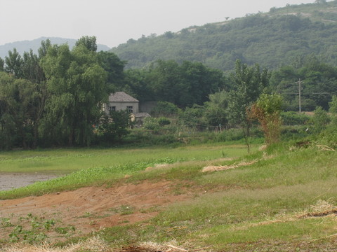 綠樹(shù)掩映農(nóng)家屋