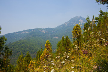 山巒
