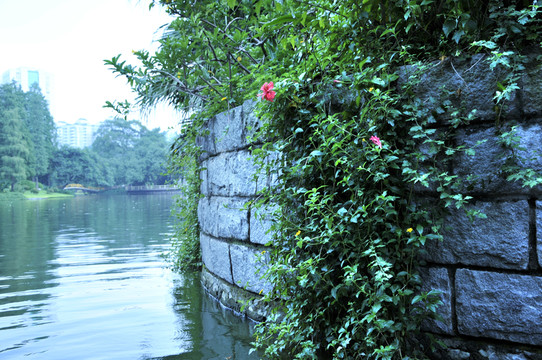 廊橋遺韻