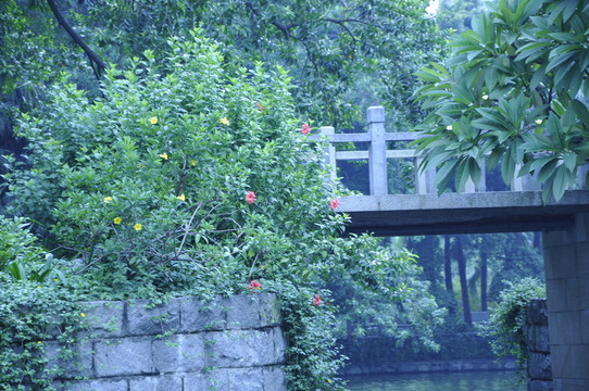 廊橋遺韻
