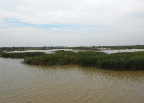 黃河濕地公園