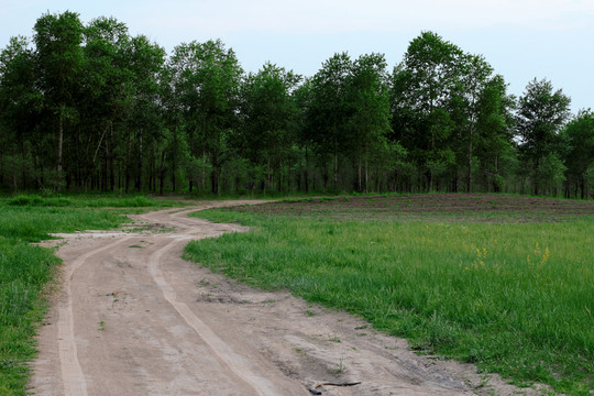 草原小路