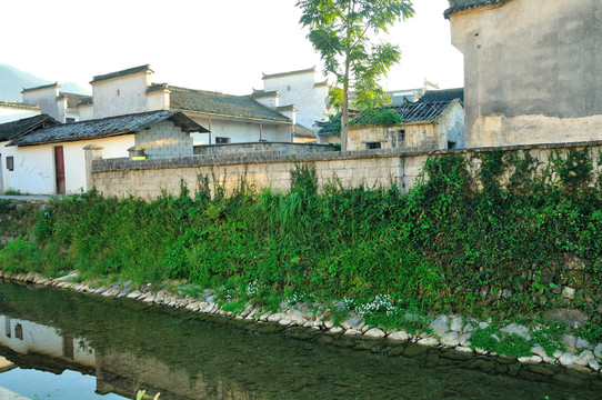 盧村風(fēng)光