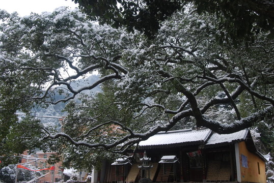 廟宇
