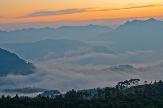 茗岙云海