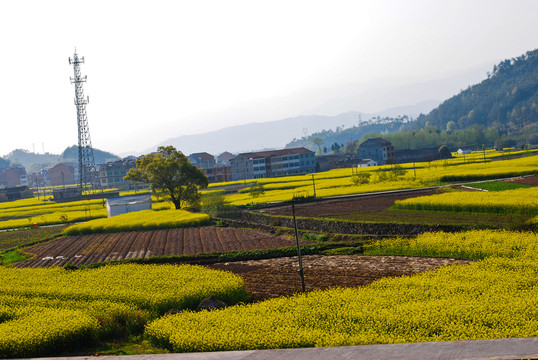 田園風(fēng)光