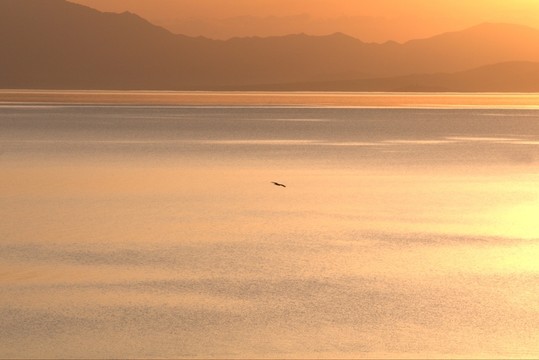夢幻賽里木湖