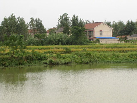 農(nóng)村一景