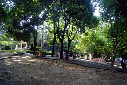 深圳西鄉(xiāng)公園的早晨