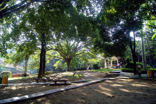 深圳西鄉(xiāng)公園的早晨