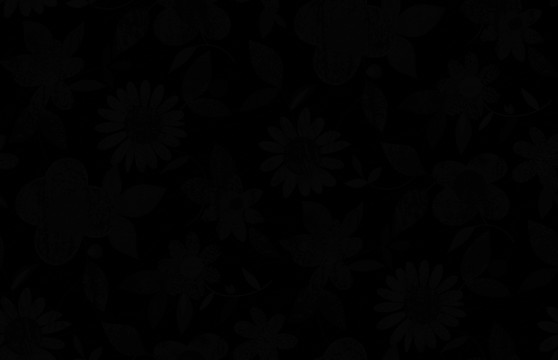 制版花型設計分色（未分層）