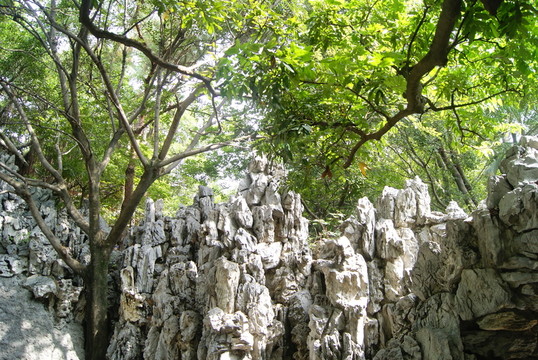 深圳西鄉(xiāng)公園的假山景觀