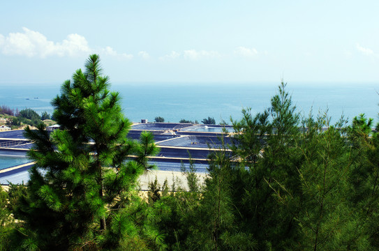 紅海灣浪漫風(fēng)車島