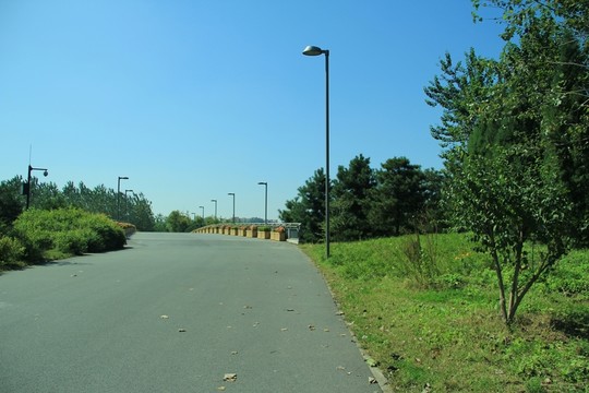森林公園 小橋