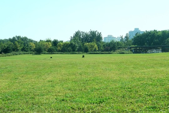 森林公園 綠地