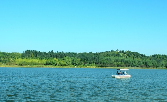 森林公園  湖上泛舟