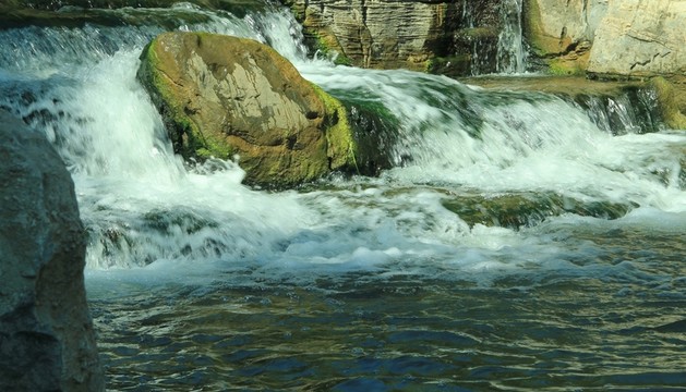 森林公園  小溪流水