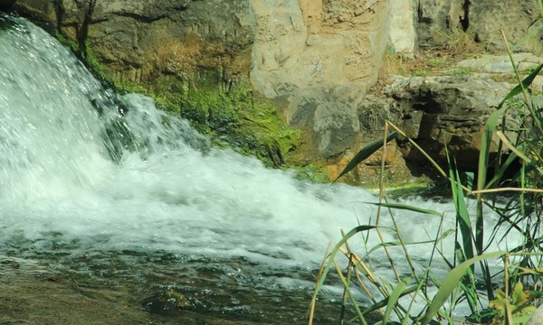 森林公園   小溪流水