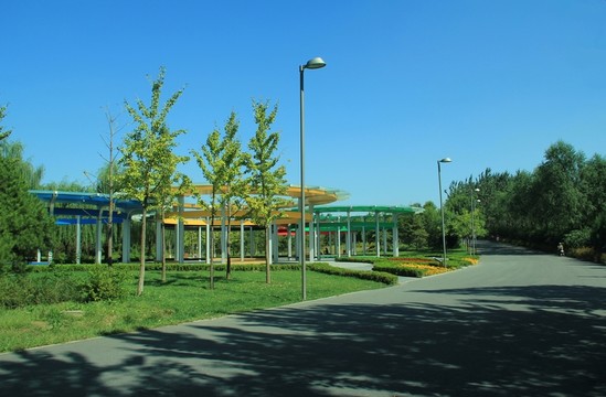 森林公園  路旁綠地廣場(chǎng)